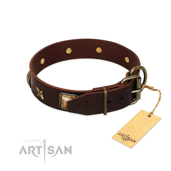Full grain natural leather dog collar with strong traditional buckle and studs