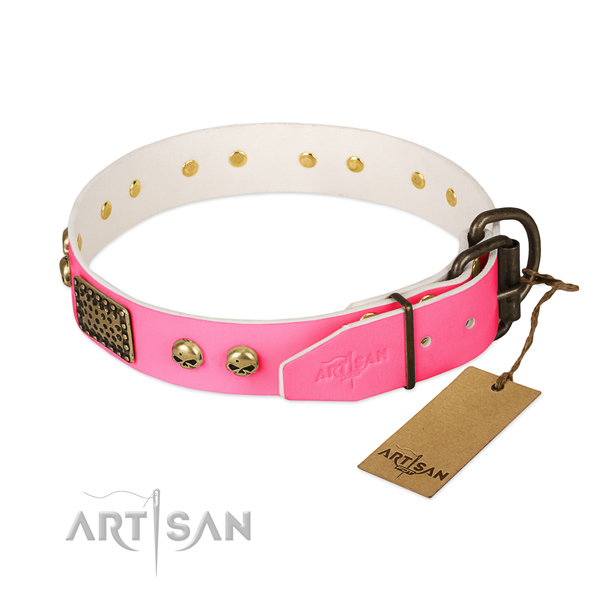 Durable buckle on everyday walking dog collar