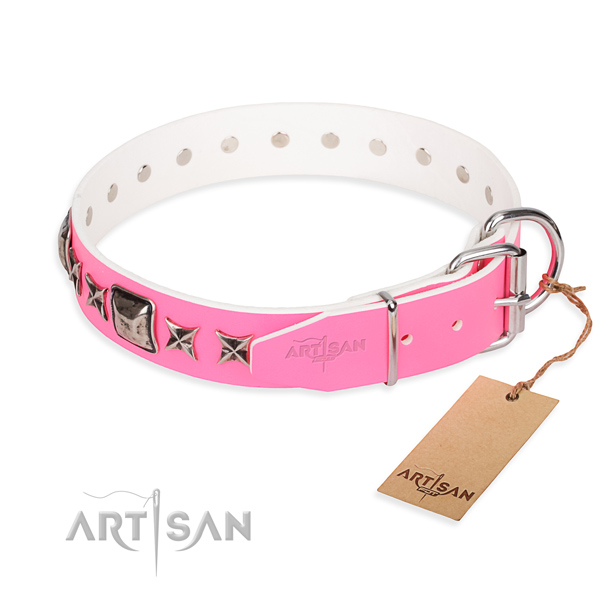 Durable decorated dog collar of natural leather