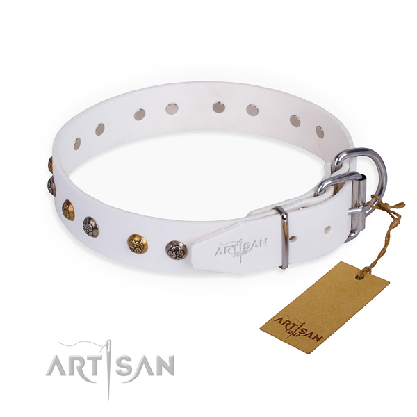 Genuine leather dog collar with stunning corrosion proof decorations