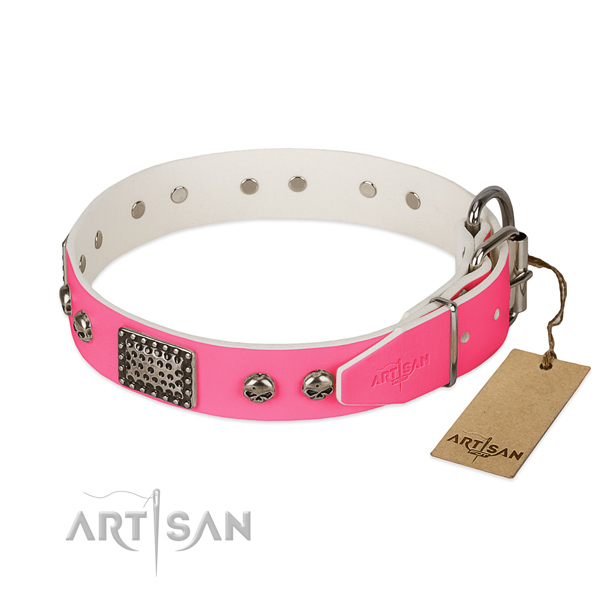 Corrosion proof embellishments on stylish walking dog collar