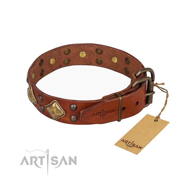 Full grain leather dog collar with stylish design strong embellishments