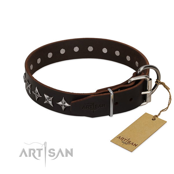 Fancy walking embellished dog collar of finest quality full grain leather