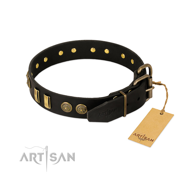 Rust resistant decorations on leather dog collar for your doggie