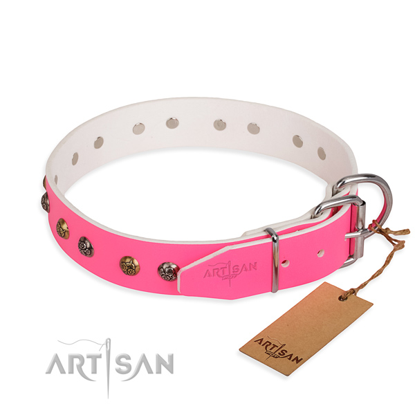 Genuine leather dog collar with unusual reliable embellishments