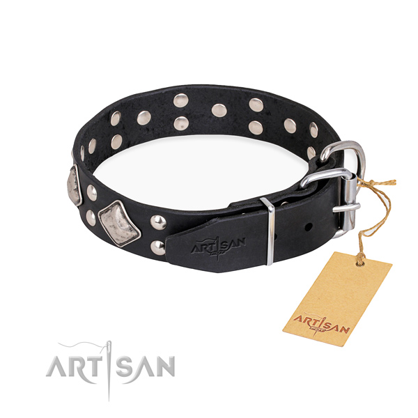 Genuine leather dog collar with unusual reliable embellishments