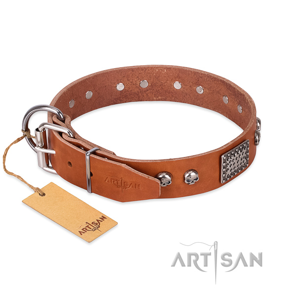 Corrosion resistant adornments on daily walking dog collar