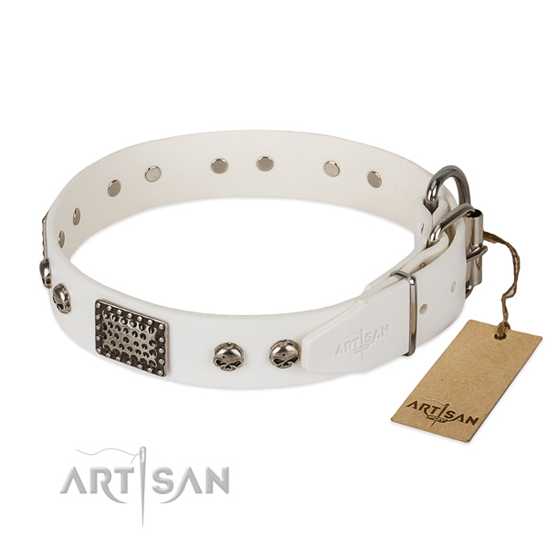 Strong adornments on easy wearing dog collar