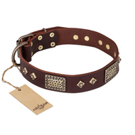 "Loving Owner" FDT Artisan Decorated Leather dog Collar with Plates and Studs