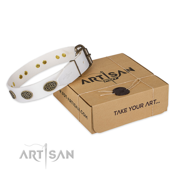 Reliable buckle on genuine leather collar for your stylish doggie