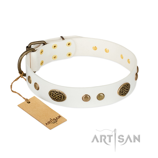 Rust resistant adornments on full grain natural leather dog collar for your pet