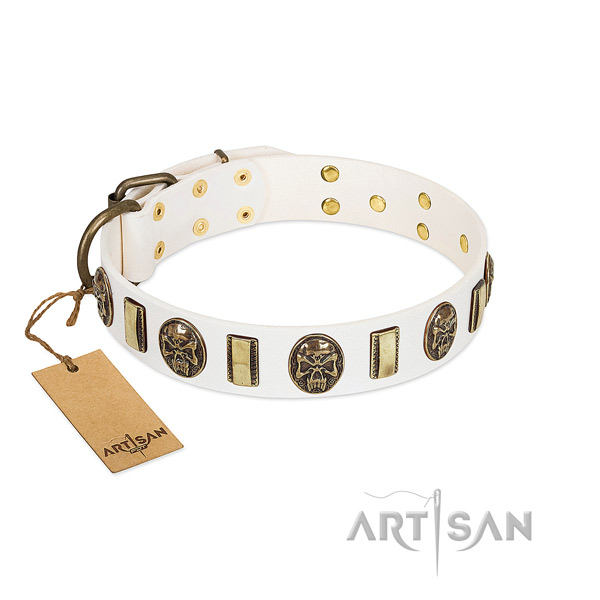 Easy to adjust genuine leather dog collar for daily walking