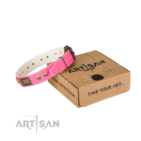 Strong adornments on dog collar for basic training