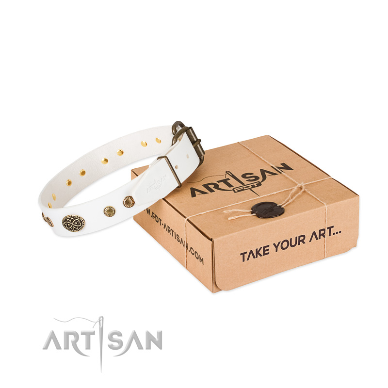 Strong embellishments on natural leather dog collar for your doggie
