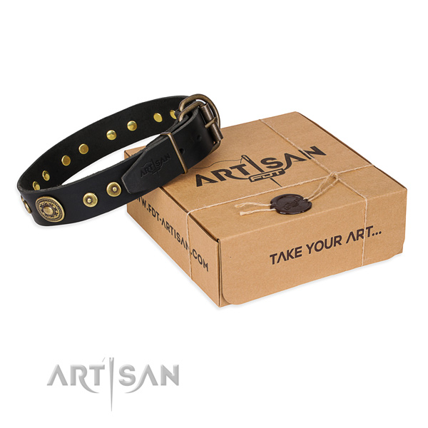 Full grain natural leather dog collar made of best quality material with strong fittings