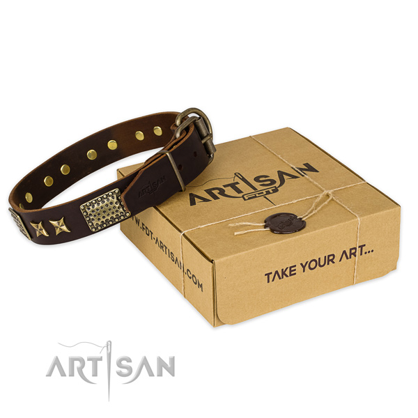 Corrosion proof hardware on leather collar for your beautiful canine