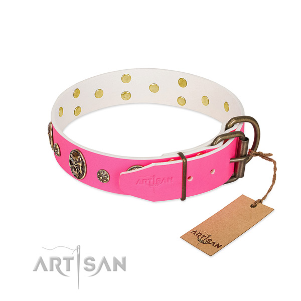 Durable buckle on full grain genuine leather collar for walking your four-legged friend