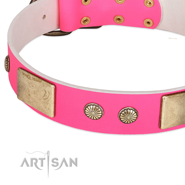 Corrosion proof decorations on full grain genuine leather dog collar for your dog