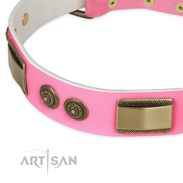 Full grain leather dog collar with embellishments for stylish walking