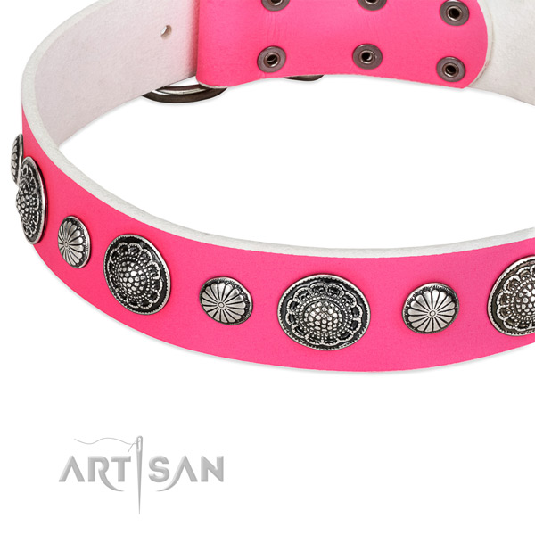 Leather collar with corrosion proof traditional buckle for your stylish doggie