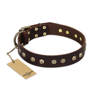 "Bronze Sheen" FDT Artisan Leather dog Collar with Brass-Plated Studs "Bronze Sheen" FDT Artisan Leather dog Collar with Brass-Plated Studs