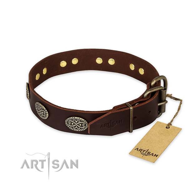 Reliable traditional buckle on natural genuine leather collar for your beautiful pet