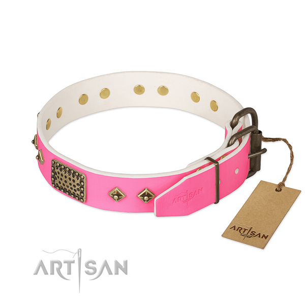 Strong embellishments on daily use dog collar