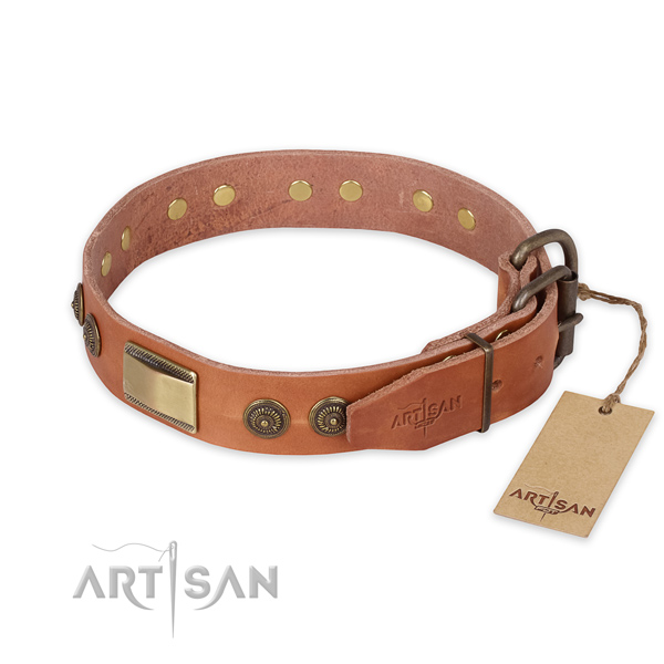 Rust-proof traditional buckle on full grain genuine leather collar for daily walking your dog