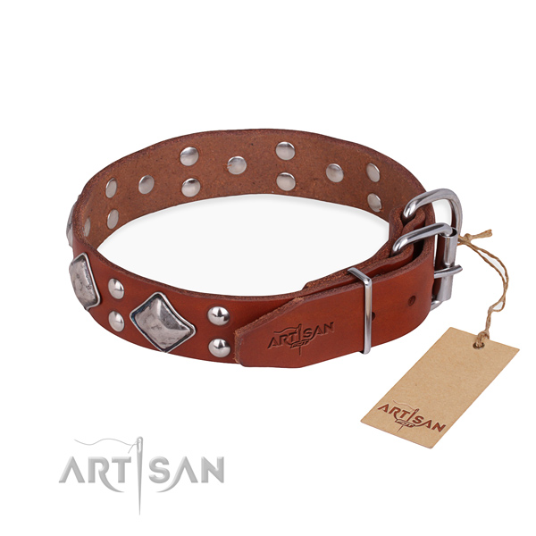 Full grain leather dog collar with awesome reliable decorations