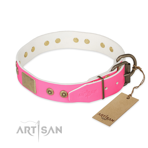 Corrosion resistant embellishments on daily use dog collar