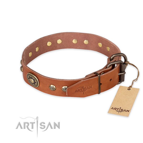 Rust resistant buckle on natural leather collar for daily walking your four-legged friend