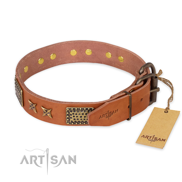 Strong D-ring on leather collar for your impressive doggie