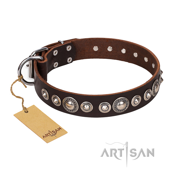 Top quality embellished dog collar of full grain leather