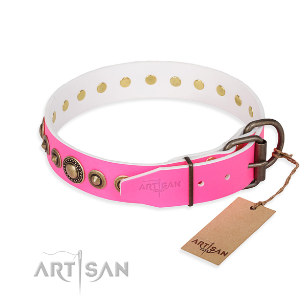 Best quality full grain leather dog collar created for basic training