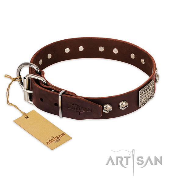 Corrosion proof fittings on everyday use dog collar