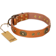 "Dandy Pet" FDT Artisan Handcrafted Tan Leather dog Collar "Dandy Pet" FDT Artisan Handcrafted Tan Leather dog Collar