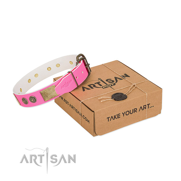 Rust resistant hardware on leather dog collar for comfortable wearing