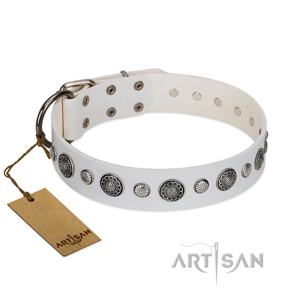 Flexible genuine leather dog collar with rust resistant hardware