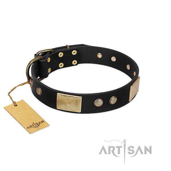 Easy adjustable leather dog collar for walking your doggie