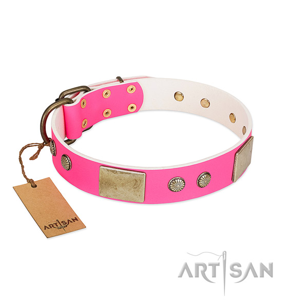 Adjustable full grain leather dog collar for daily walking your doggie