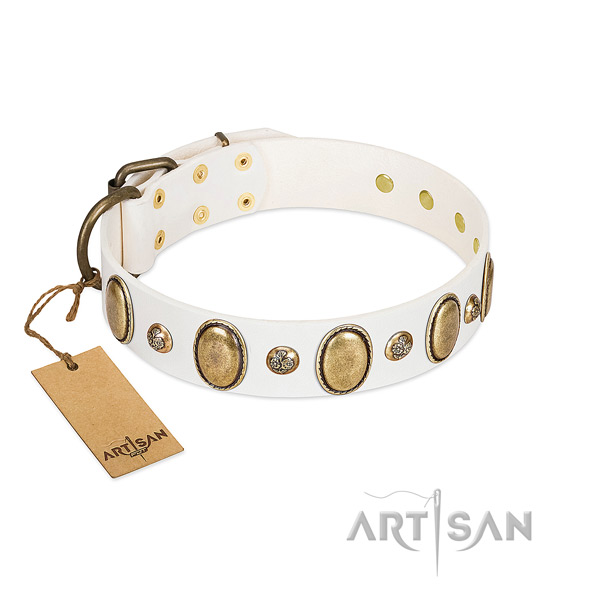 Natural leather dog collar of soft to touch material with exceptional studs