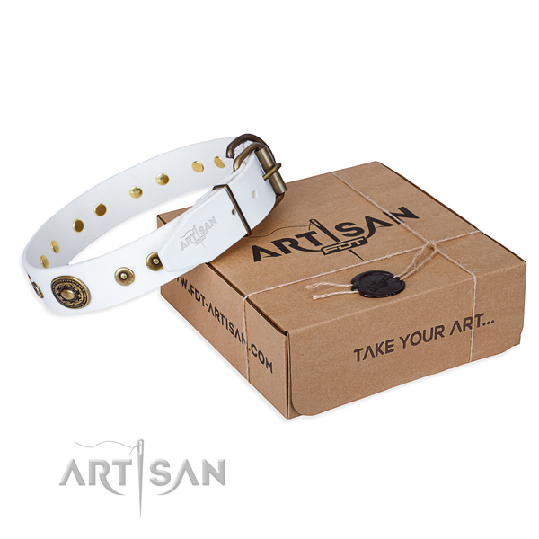 Leather dog collar made of top notch material with rust-proof hardware