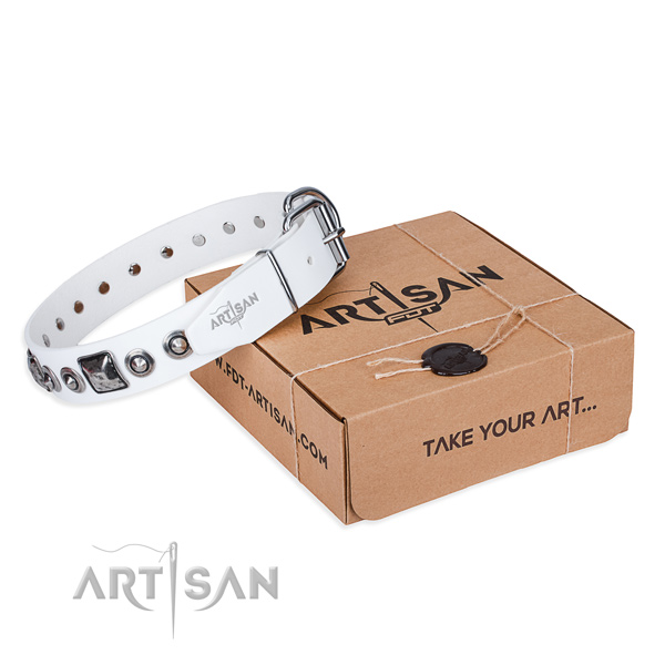 Durable full grain leather dog collar made for stylish walking