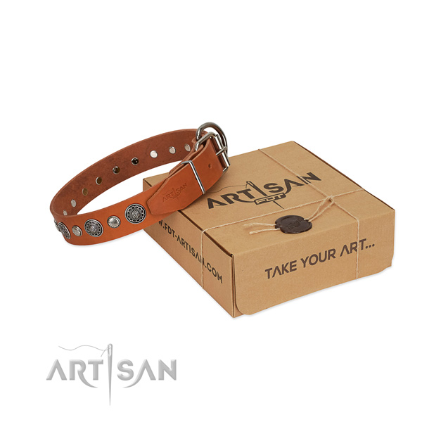 Genuine leather collar with durable D-ring for your handsome four-legged friend