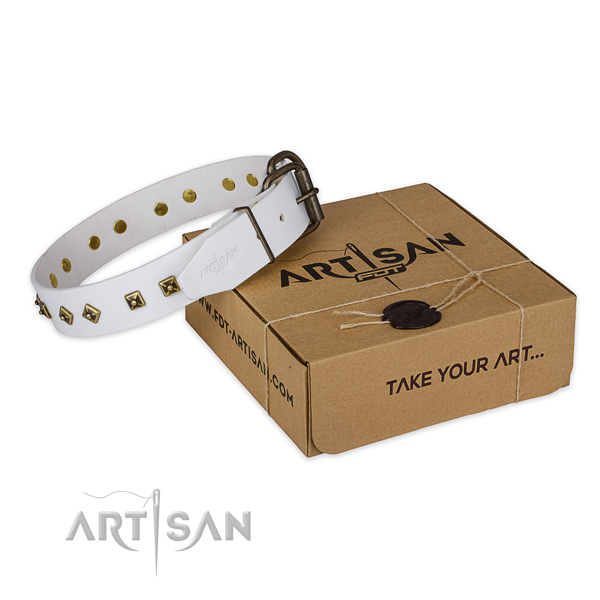 Strong traditional buckle on genuine leather dog collar for everyday use