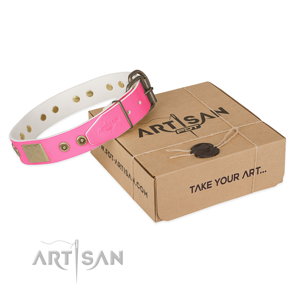 Strong D-ring on dog collar for everyday use