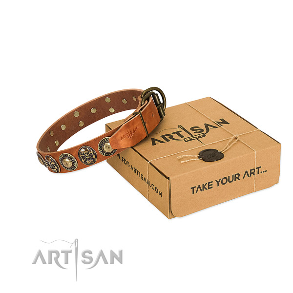Corrosion proof fittings on dog collar for comfortable wearing