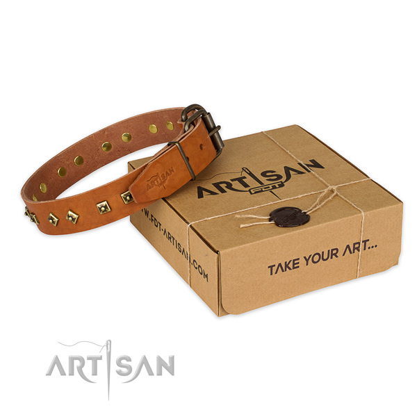 Corrosion resistant traditional buckle on full grain natural leather dog collar for easy wearing