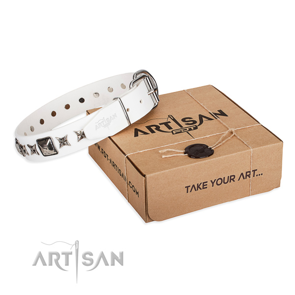Daily use full grain leather dog collar with studs