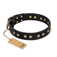 "Black Elegance" FDT Artisan Leather dog Collar with Round Studs "Black Elegance" FDT Artisan Leather dog Collar with Round Studs